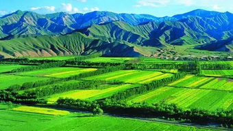 农业种植效益提升之道 核心要素与科学实践