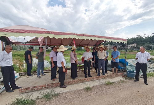 省农业农村厅领导调研我市水产种业与生态养殖发展情况