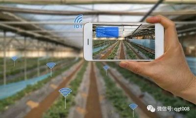 江苏省数字农业农村工作要点发布，农业培育迎来新机遇