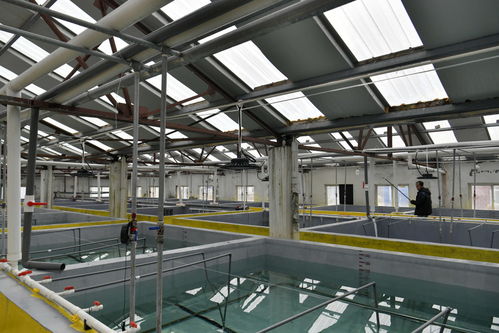 工厂化育苗助力水产养殖业高质量发展